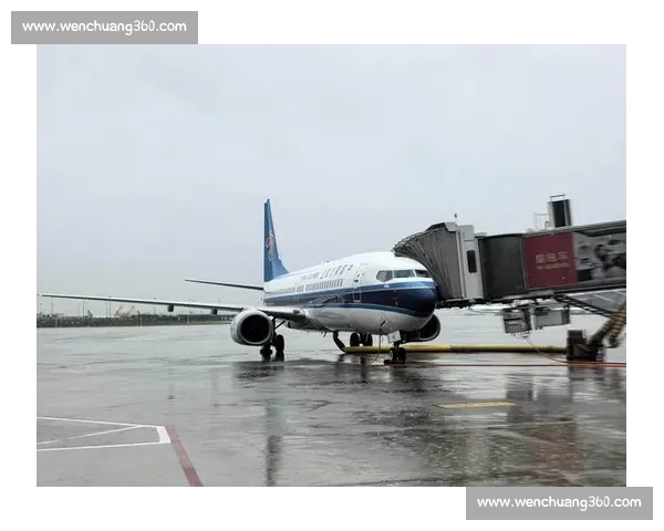 比赛因天气突变延误,观众耐心等待赛事重新启动 比赛因天气突变延误,观众耐心等待赛事重新启动